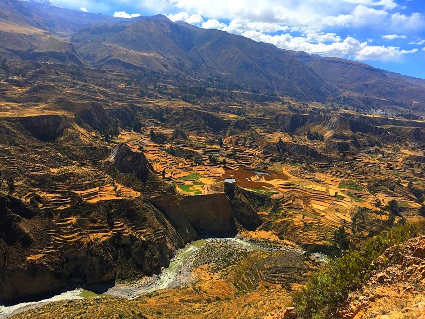 colca canyon tour ending in puno