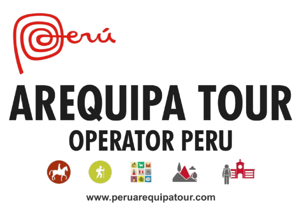 logo removebg preview